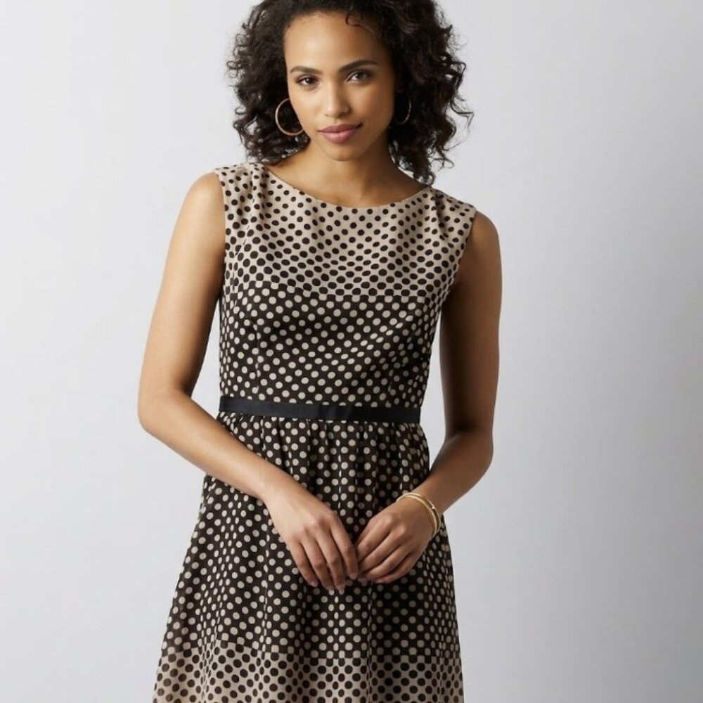 NWT Ann Taylor Loft Polka Dot Brown & Black Fit And Flare Dress Women Size 14